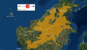 borneo bay cat range map