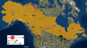 canada lynx range map