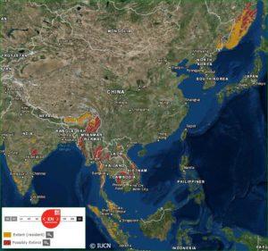 tiger range map