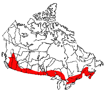 bobcats habitat map