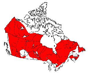 lynx in cda map