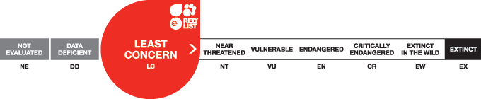 threat-categories-lc