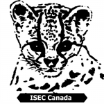 international-society-endangered-cats