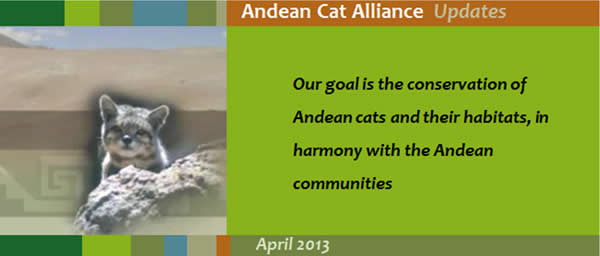 andean cat alliance